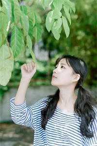 许你半生不见无广告