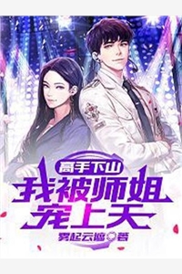 光明跌落，余晖不再林玉陆青全文
