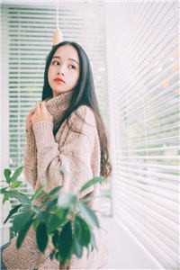 重生后，学神老婆疯狂追我后续+番外