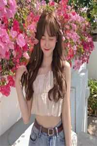 身如不系之舟:前文+后续