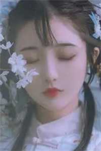重生之少爷归来吴莹金莱:番外+无删减版