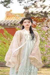 穿越:咸鱼变身大小姐,无痛当官无删减全文