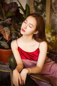 我是京圈大小姐白月光，前妻悔哭:(番外)+(结局)