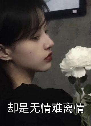 离婚吧叶先生，我怀了别人的孩子小说畅读