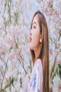 改嫁王爷后，全京城都在看我虐渣列表