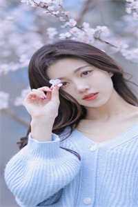 往后岁岁皆无你小说全文免费阅读