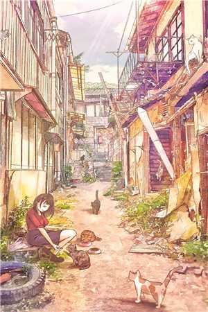 一本古早穿越文
