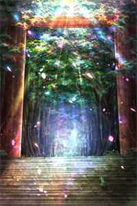 星空至尊