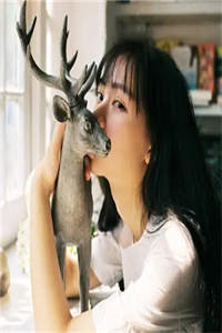 能力随机系统