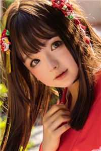 野狗与蝴蝶