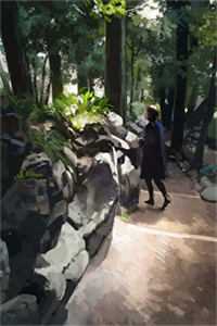 清穿之在清朝做媳妇真不容易