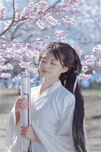 爆萌囧妃