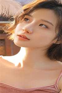 小说才高八斗