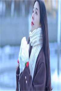 全文阅读扶一把大明