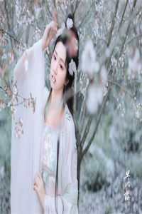 撞破皇帝女儿身，假太监扶摇而上全文章节