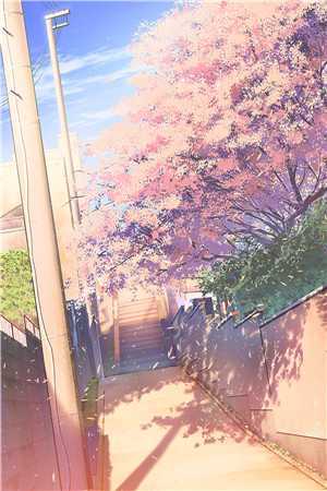 全文阅读才高八斗