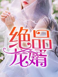 九龙封天诀全集小说