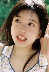 燕宫杀，公子他日日娇宠全集小说