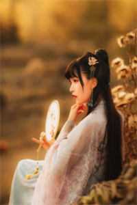 唐天傲赵芷兰（阅读全文我靠天才经商头脑，带帝国走上富强）全文免费阅读无弹窗大结局_