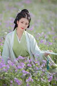 穿书：上神她一身反骨全集小说