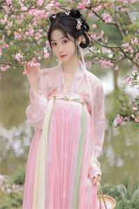 护花神医长篇小说