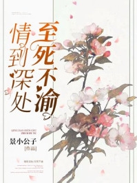 全集小说阅读人到中年：极品红人