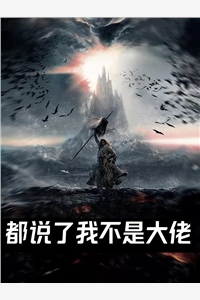 长篇小说阅读写实戏剧海鸥的创作