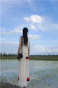穿越后，我把仙界美女都谈了个遍完整作品阅读