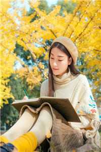 甜宠撩人：指挥官大人奔个现优质全文