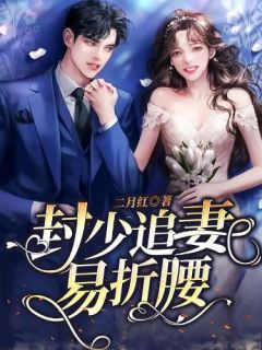 畅销巨著赵书记