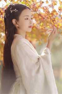 侯爷还不哄妻？夫人已经是京城首富了优质全文阅读