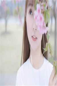 新婚夜，离婚时完整章节阅读