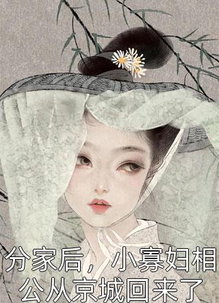 消逝的七年雪完整篇章