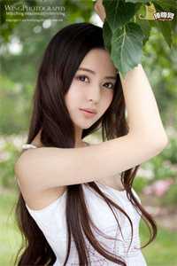 不带感情，姐在小世界杀疯了的小说