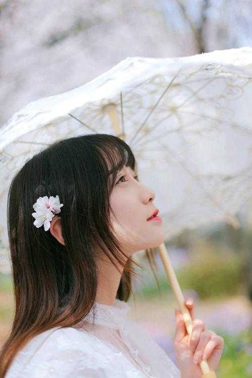 逐风月寻他是哪本