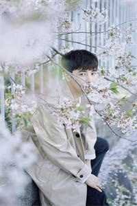 替嫁后，医妃她被暴虐王爷爆宠云芜秦鹤声小说