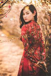 何须梨花赴寒春结局+后续