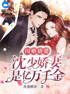 我与明月再无归期未删减版
