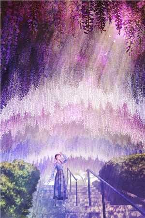 小说沧海月明珠有泪君莫邪凌雨烟全章节免费阅读