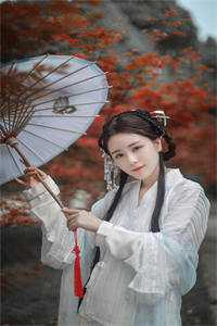 君自北向,我且南行抖音热门