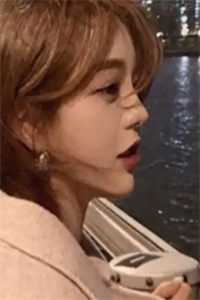 落月摇情满江树全本小说推荐