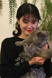 重生后我成全妻子和她的初恋在线看