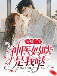 权欲：警路通天全文无删减