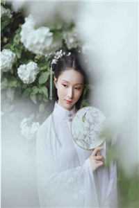 山月无情不相逢完结txt