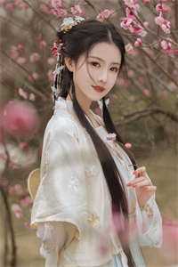 春辞岁，长歌弦断人不归的小说