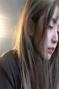 此意寄昭昭免费看