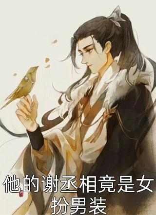 权术官途前文+后续
