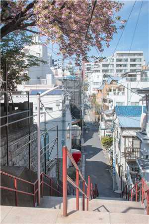 我跳下城墙后，父女俩悔哭了最新