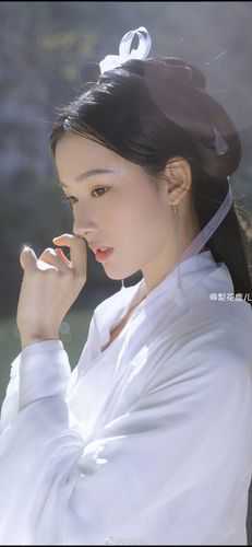 我一冷宫假太监，真没有祸乱宫闱后续+完结
