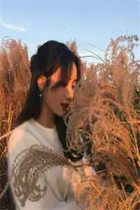 装穷老婆给白月光点天灯后后续+完结